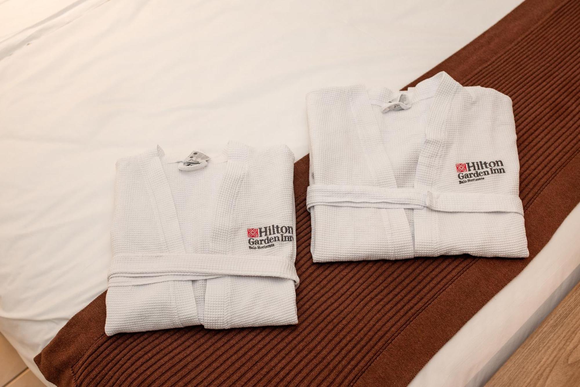 Hilton Garden Inn Belo Horizonte Lourdes Zewnętrze zdjęcie